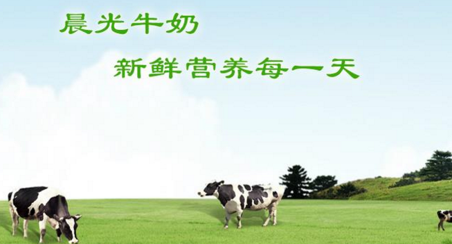 晨光乳业加盟