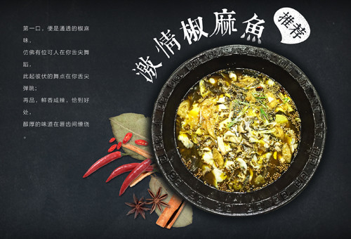 猫咪爱上鱼