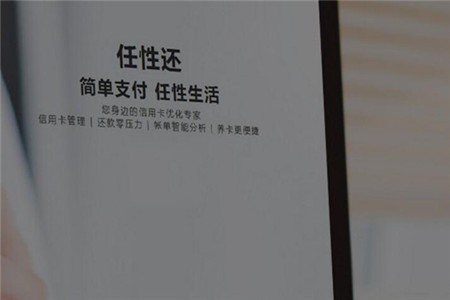 任性还加盟