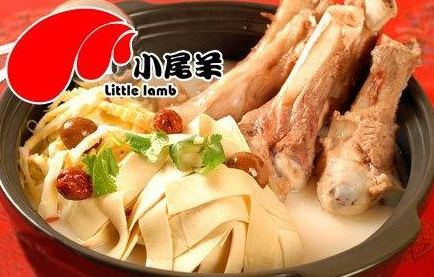 小尾羊加盟 小尾羊