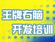 王牌右脑开发加盟
