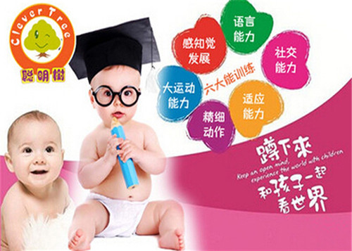 聪明树早教加盟