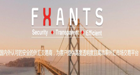 FXAnts蚁聚